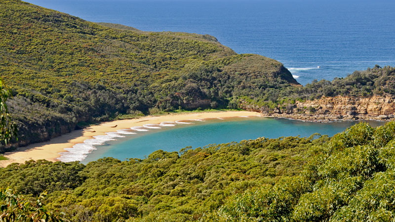 Central Coast National Parks