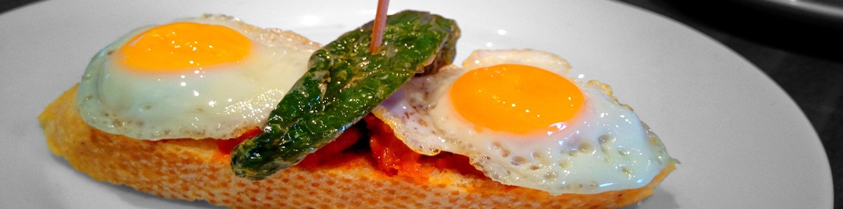 Central Coast Bed and Breakfasts