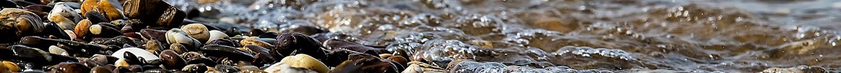 Central Coast Bed and Breakfasts