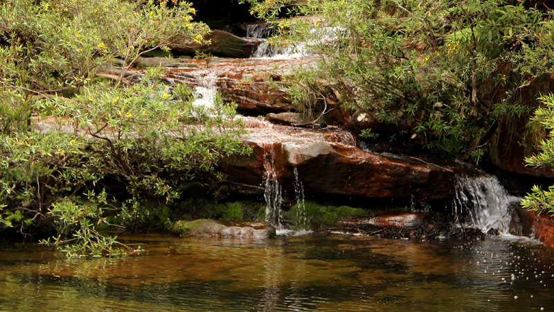 Central Coast National Parks