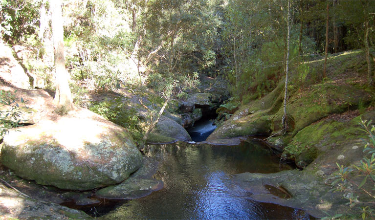 Central Coast National Parks